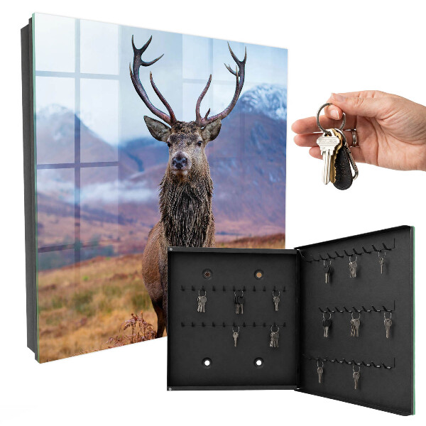 Key box Deer in the mountains