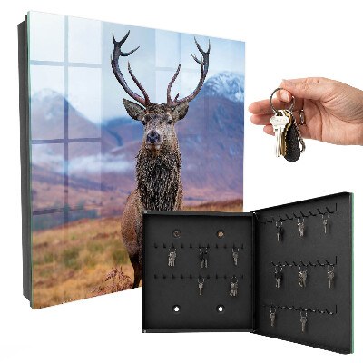 Key box Deer in the mountains