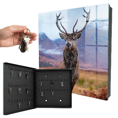 Key box Deer in the mountains