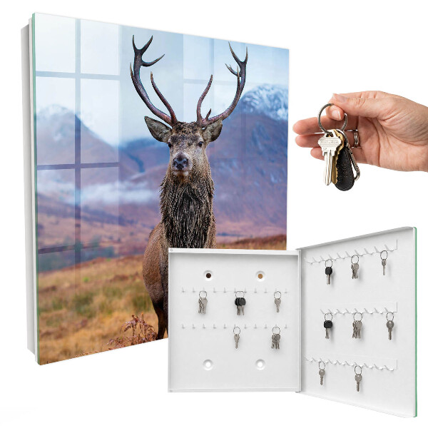 Key box Deer in the mountains