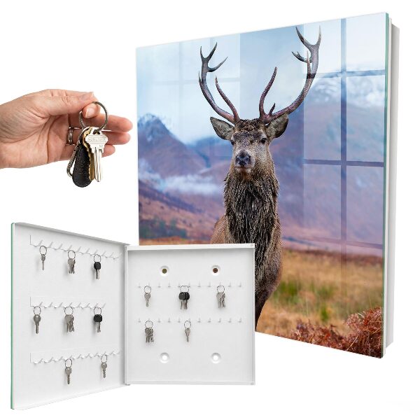 Key box Deer in the mountains