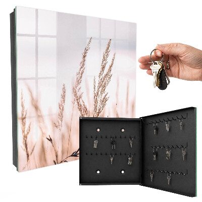 Key storage box Grass in the wind