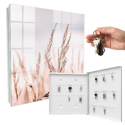 Key storage box Grass in the wind