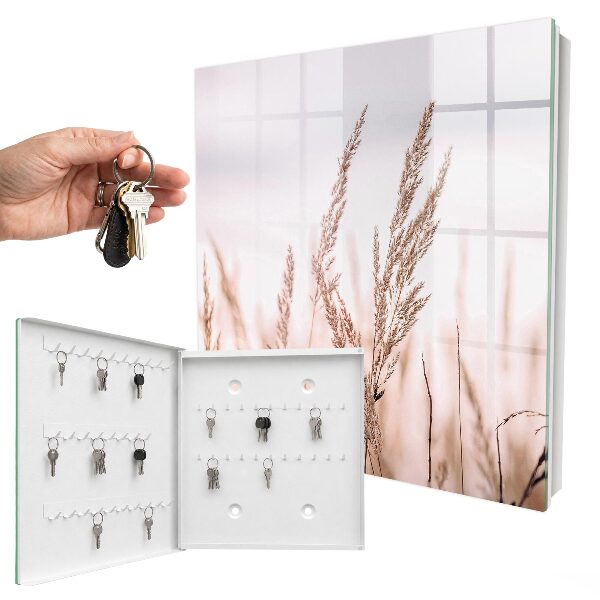 Key storage box Grass in the wind