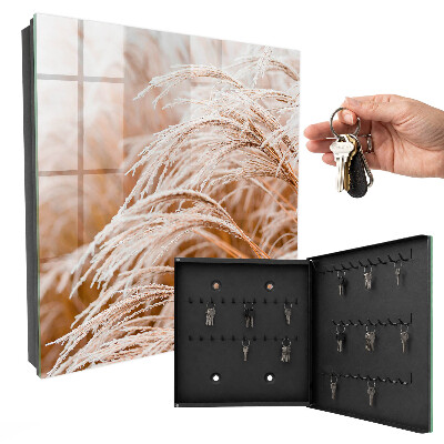 Key cabinet for wall Small grasses