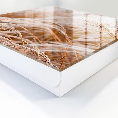 Key cabinet for wall Small grasses