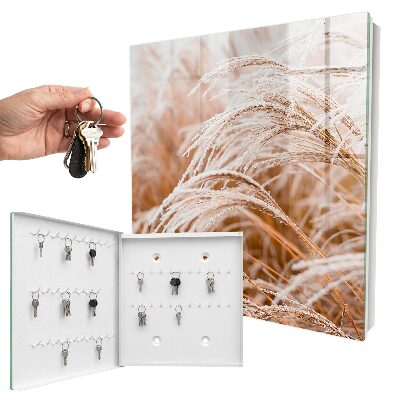 Key cabinet for wall Small grasses