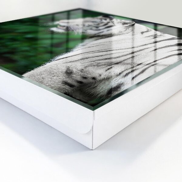 Key box White tiger