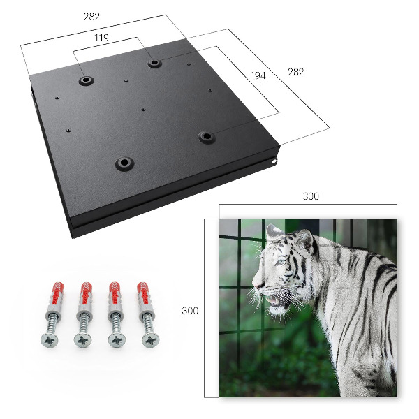 Key box White tiger