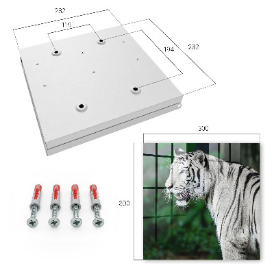 Key box White tiger