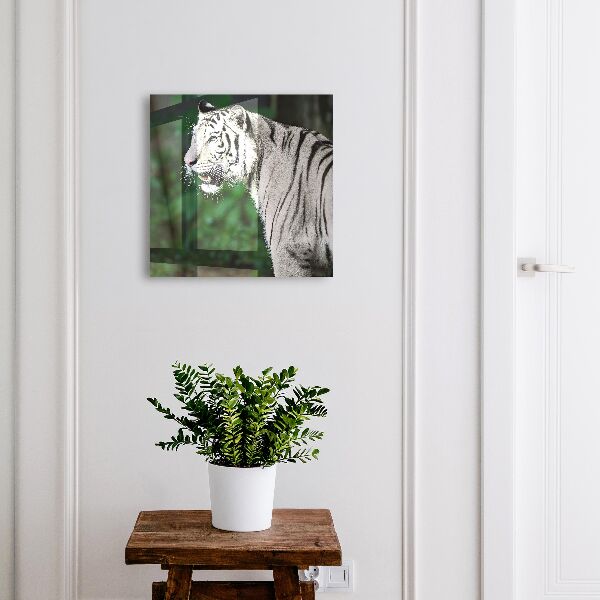 Key box White tiger