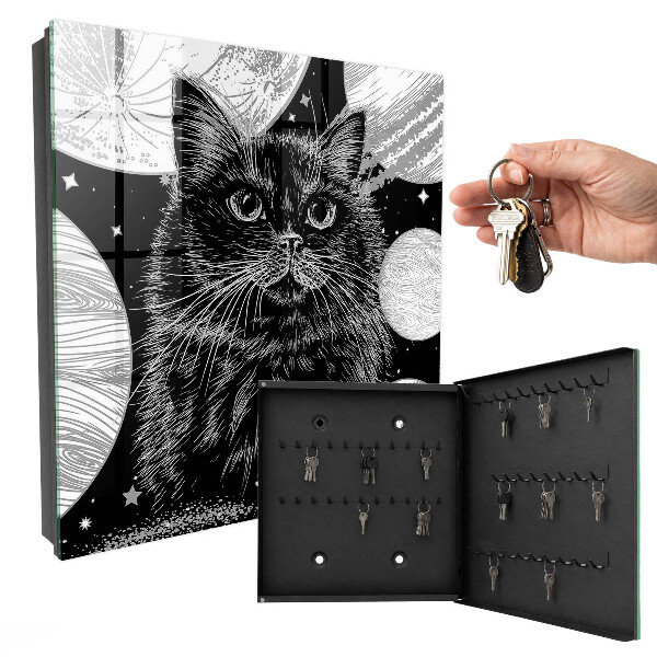 Key box Space cat
