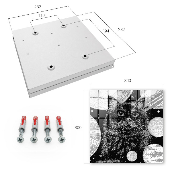 Key box Space cat