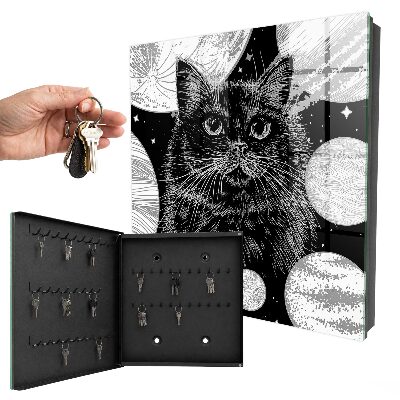 Key box Space cat
