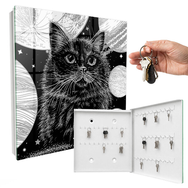 Key box Space cat