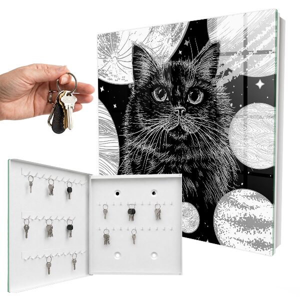 Key box Space cat