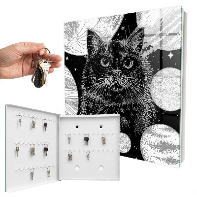 Key box Space cat