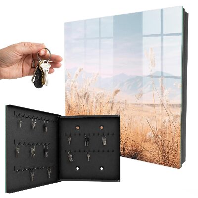 Key cabinet for wall Meadow