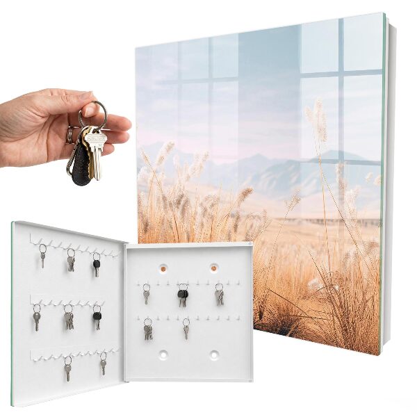 Key cabinet for wall Meadow