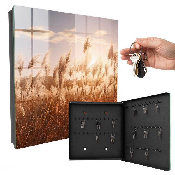 Key storage box Sunset in the grass