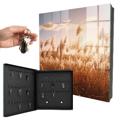 Key storage box Sunset in the grass