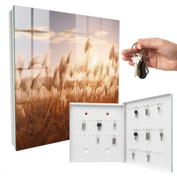 Key storage box Sunset in the grass