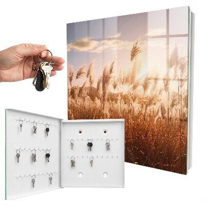 Key storage box Sunset in the grass