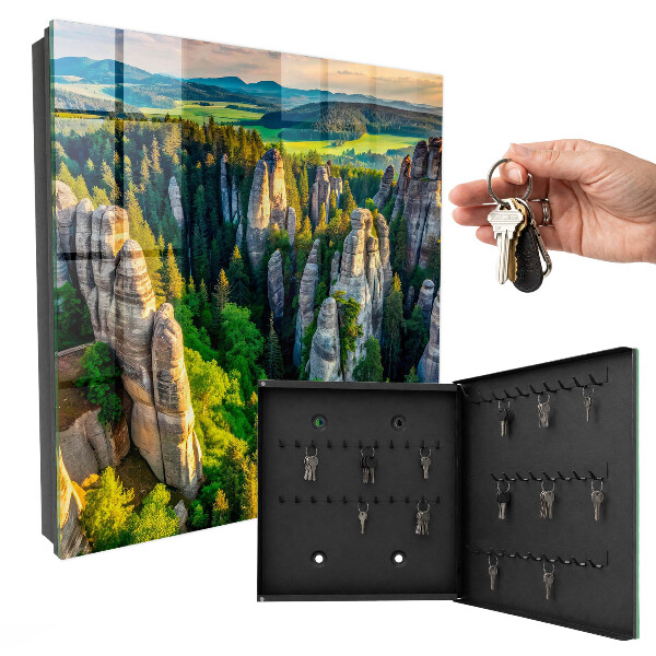 Key storage box Rocks and forest
