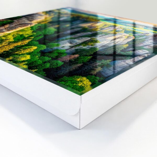 Key storage box Rocks and forest