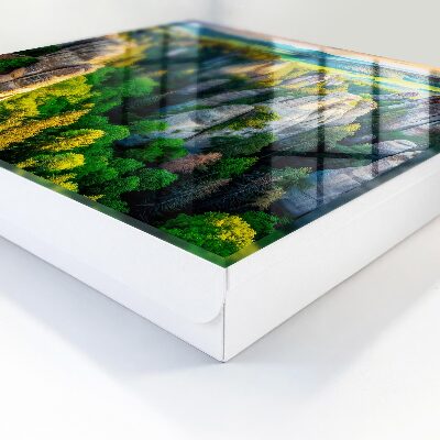 Key storage box Rocks and forest