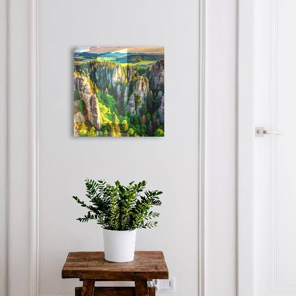 Key storage box Rocks and forest