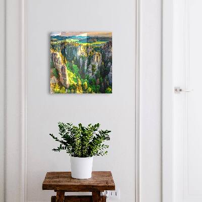 Key storage box Rocks and forest