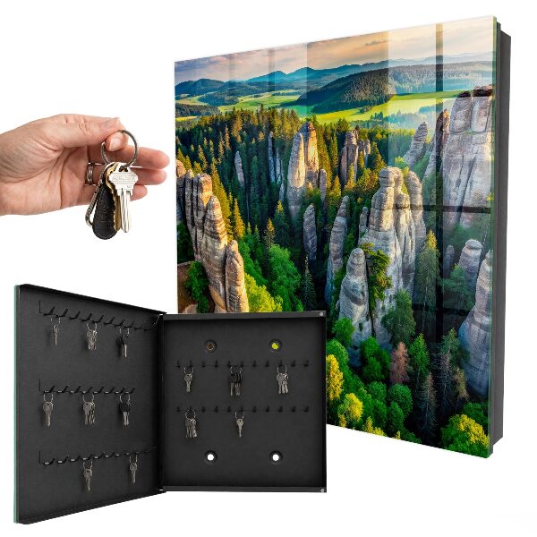 Key storage box Rocks and forest