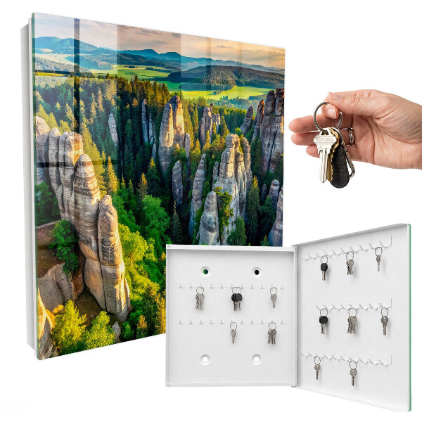 Key storage box Rocks and forest