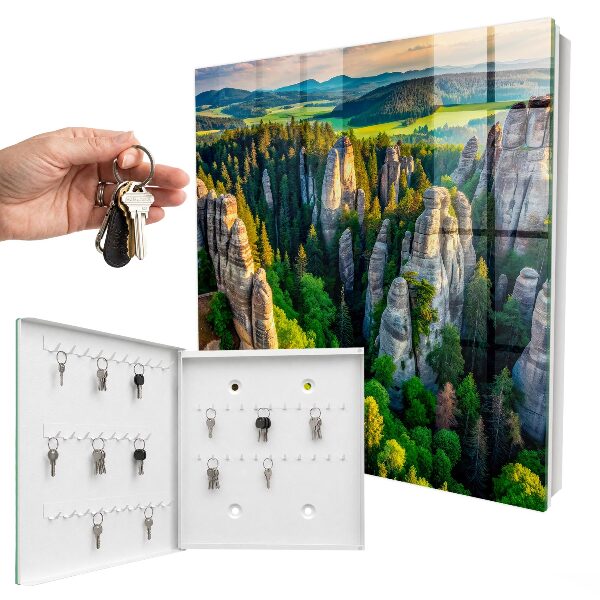 Key storage box Rocks and forest