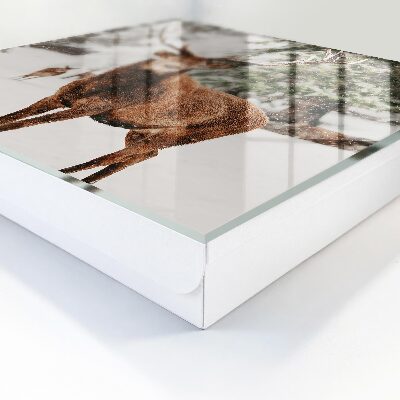 Key cabinet for wall Winter deer