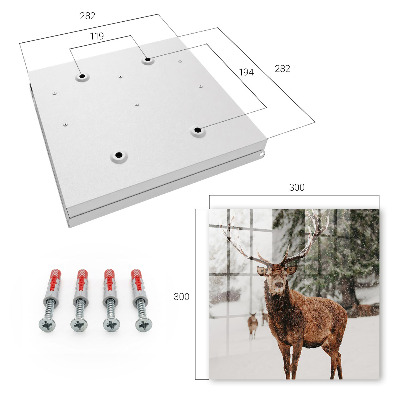 Key cabinet for wall Winter deer