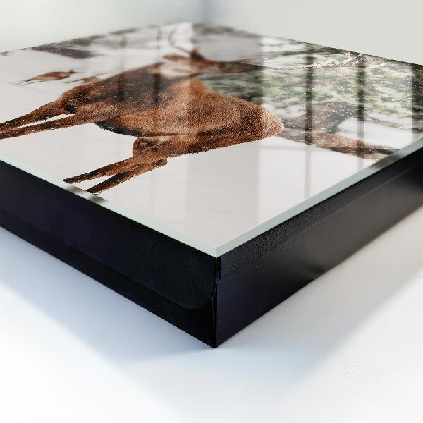 Key cabinet for wall Winter deer