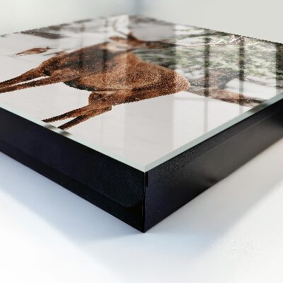 Key cabinet for wall Winter deer