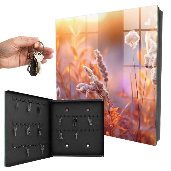 Key box Sunset