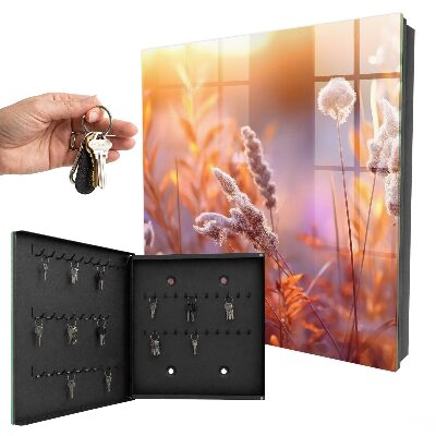 Key box Sunset