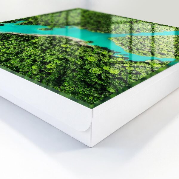 Key storage box Green paradise