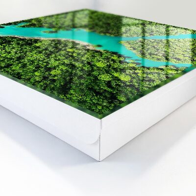 Key storage box Green paradise