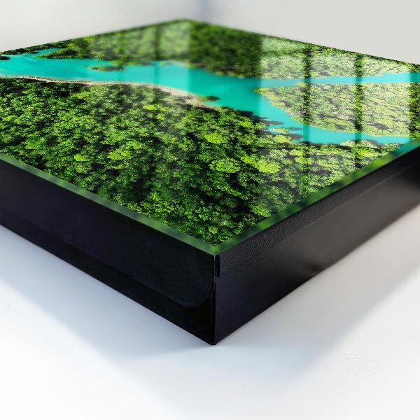 Key storage box Green paradise