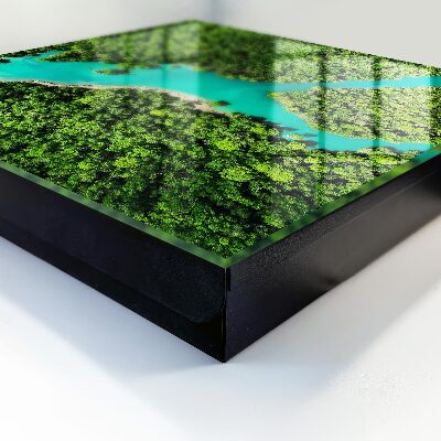 Key storage box Green paradise