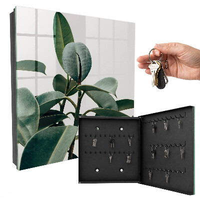 Key cabinet for wall Ficus leaves