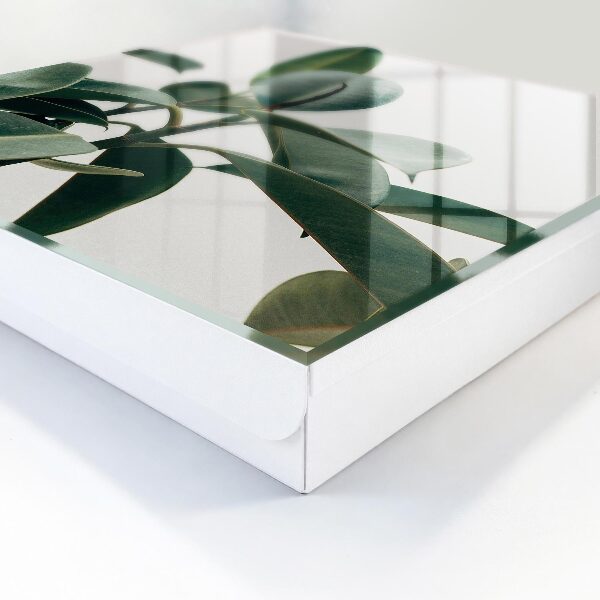Key cabinet for wall Ficus leaves