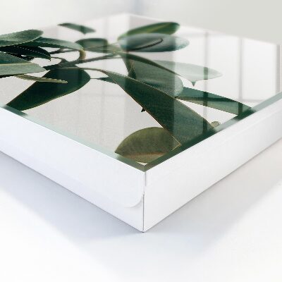 Key cabinet for wall Ficus leaves