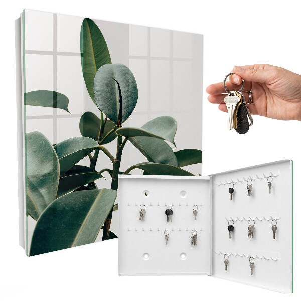 Key cabinet for wall Ficus leaves