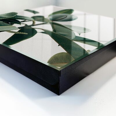 Key cabinet for wall Ficus leaves